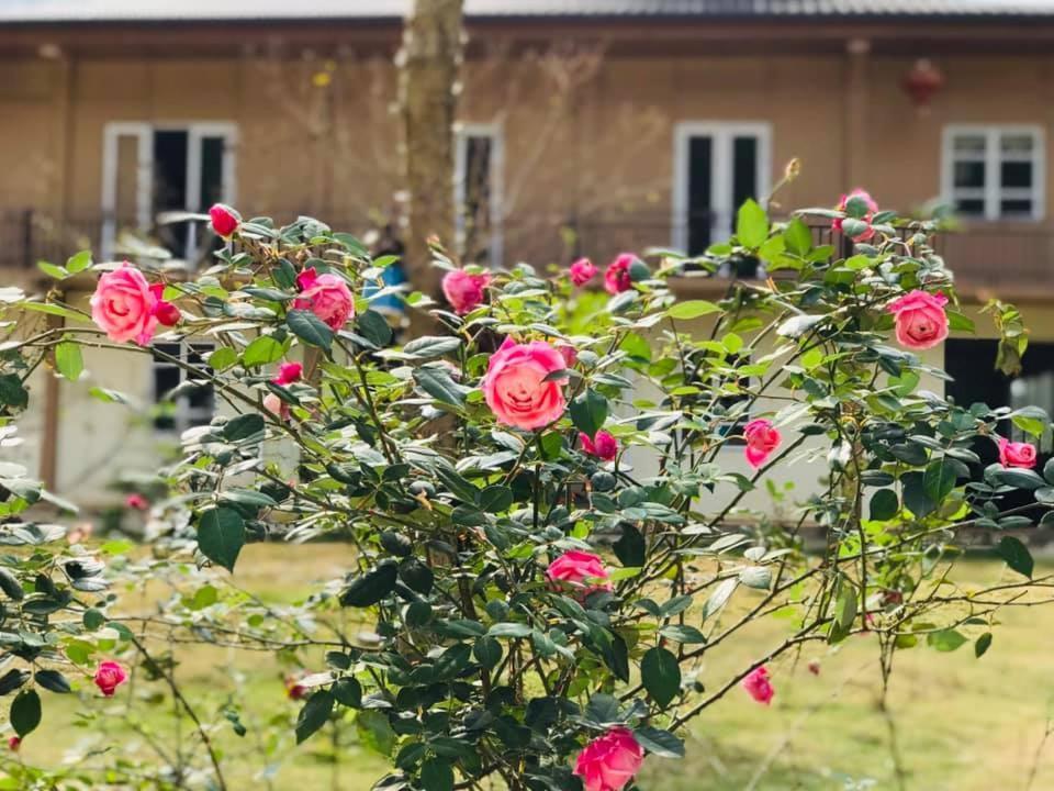 Điểm dừng chân Cán Tỷ Ha Giang Esterno foto