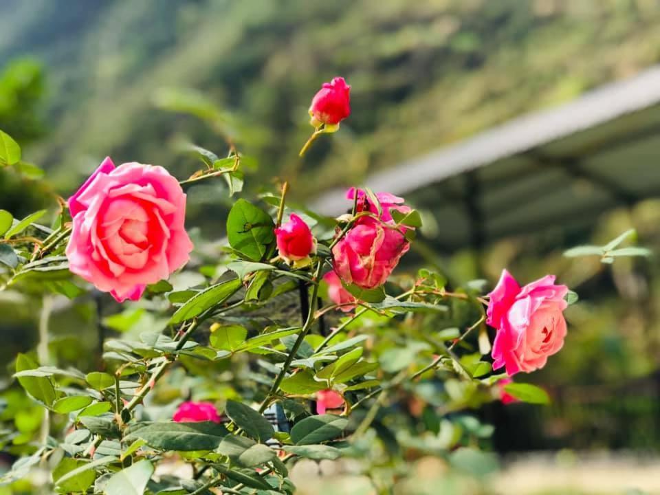 Điểm dừng chân Cán Tỷ Ha Giang Esterno foto